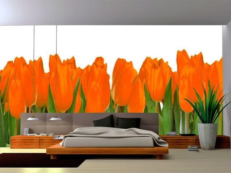 Фотообои с оранжевыми тюльпанами