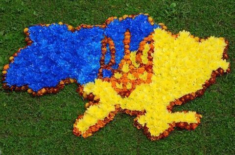 Картинки по запросу картинки на українську тематику
